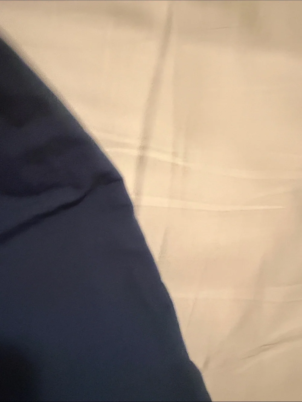 Patagonia Navy Blue Athletic/swim Shorts